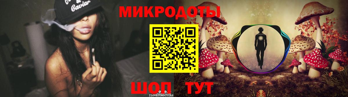 Галлюциногенные грибы Psilocybe Гурьевск